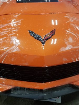 paint protection film
